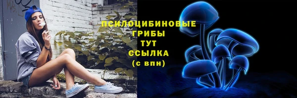 мдпв Нефтекумск