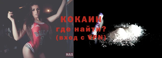 Альфа ПВП Няндома
