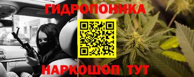 кокс Гусь-Хрустальный
