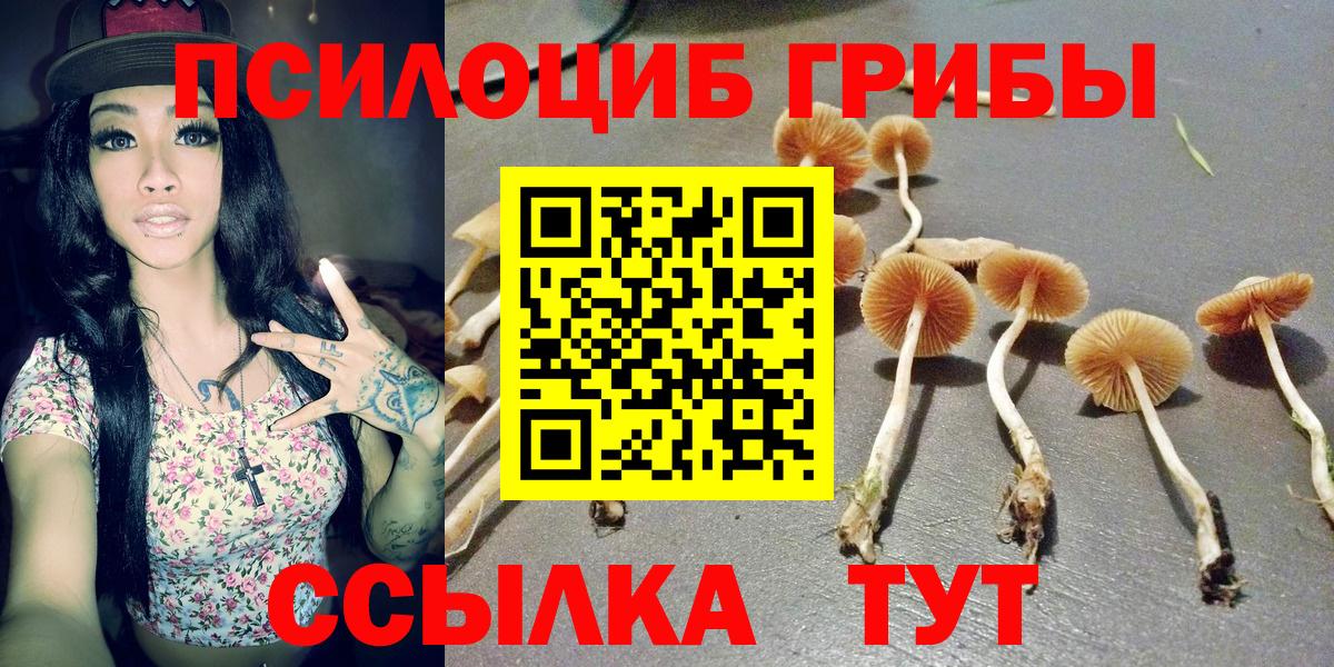 Конаково  Галлюциногенные грибы ЛСД  купить закладку  Вход с VPN 