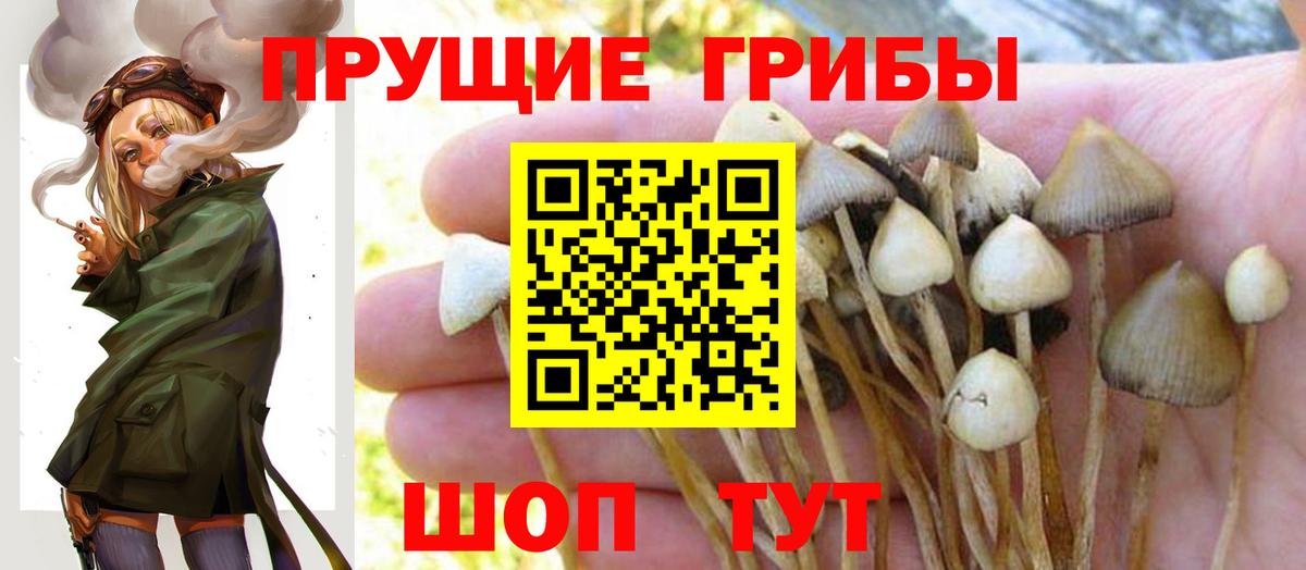 Псилоцибиновые грибы ЛСД Конаково