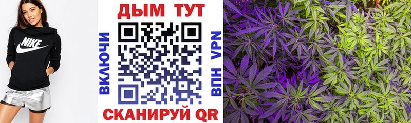 что такое наркотик  Конаково  Канабис конопля 