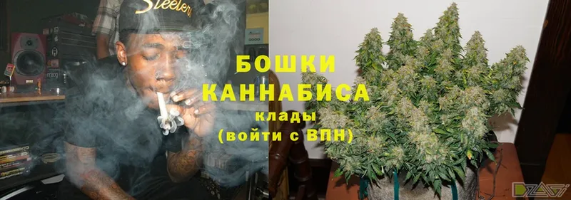 купить наркотики цена  даркнет телеграм  Бошки марихуана SATIVA & INDICA  Конаково 